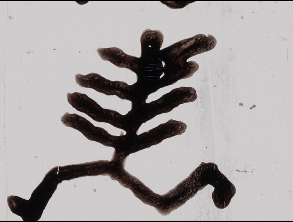 Rudolf Němec – Proměny 