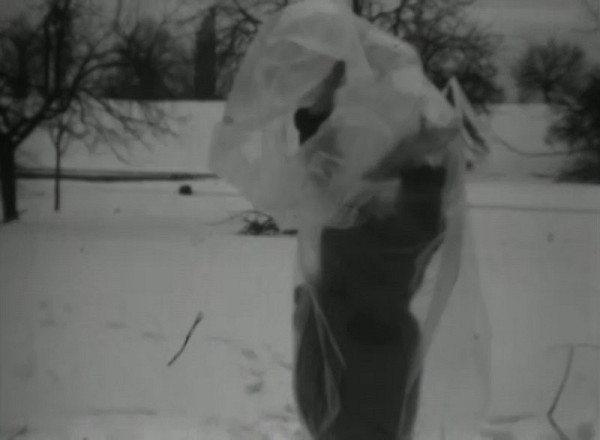 Rudolf Němec – Stíny 