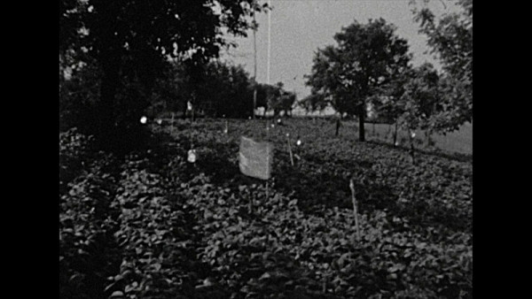 Jan Ságl – Samizdat 