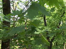 Erik Sikora – Nekonečná výstava 