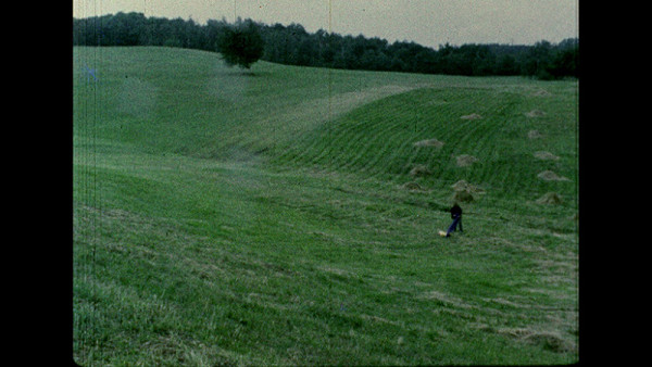 Michal Baumbruck – bez názvu/ untitled 