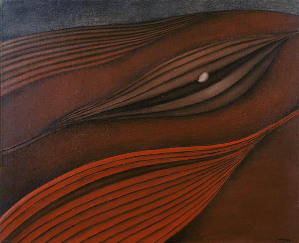 Jiří John – Obnažená krajina 