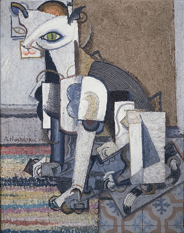 Antonín Procházka – Kočka 