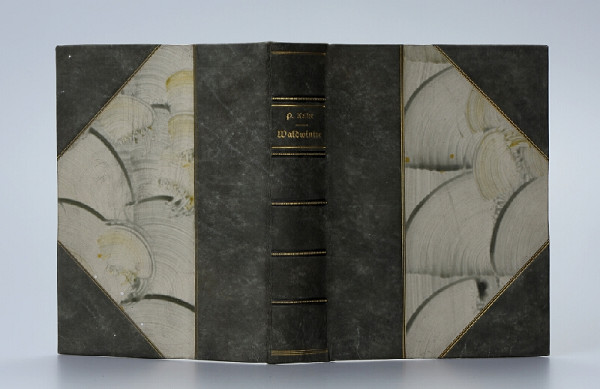 Paul Keller – Waldwinter 
