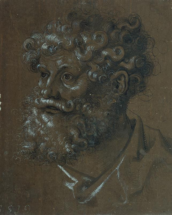 Hans Baldung Grien – Hlava muže s kudrnatými vlasy a vousy