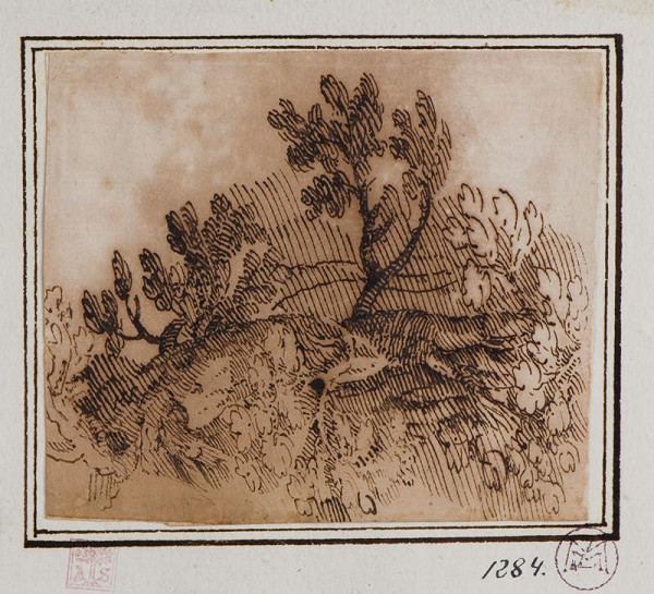 neznámý – Studie stromů 