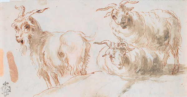 Giovanni Benedetto Castiglione zv. Il Grechetto – Ovce