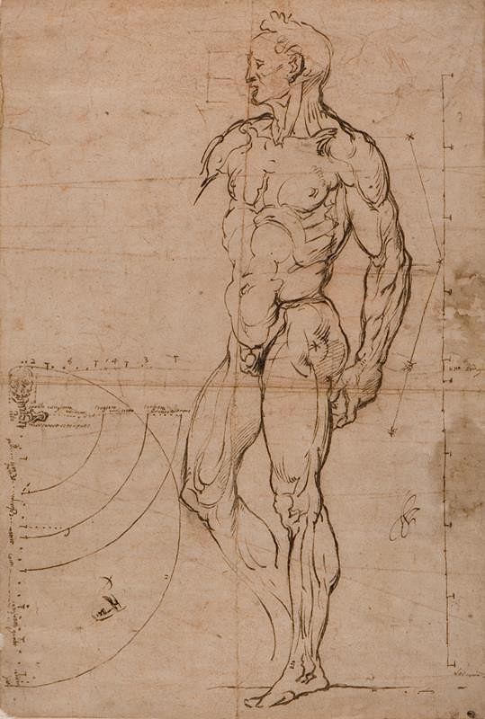 Bartolomeo Passarotti - podle – Studie mužského těla