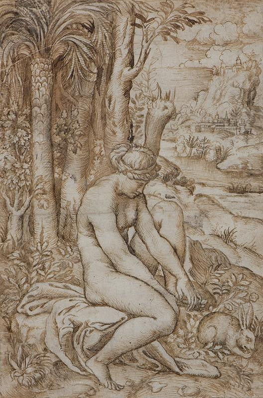 Marco Dente zv. Marco da Ravenna – Venuše zraněná trnem růže