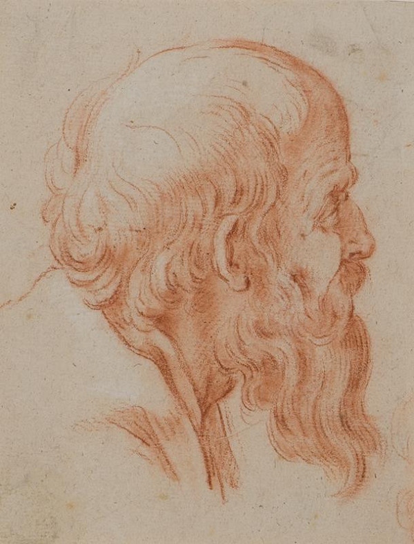 neznámý malíř italský – Hlava vousatého muže 