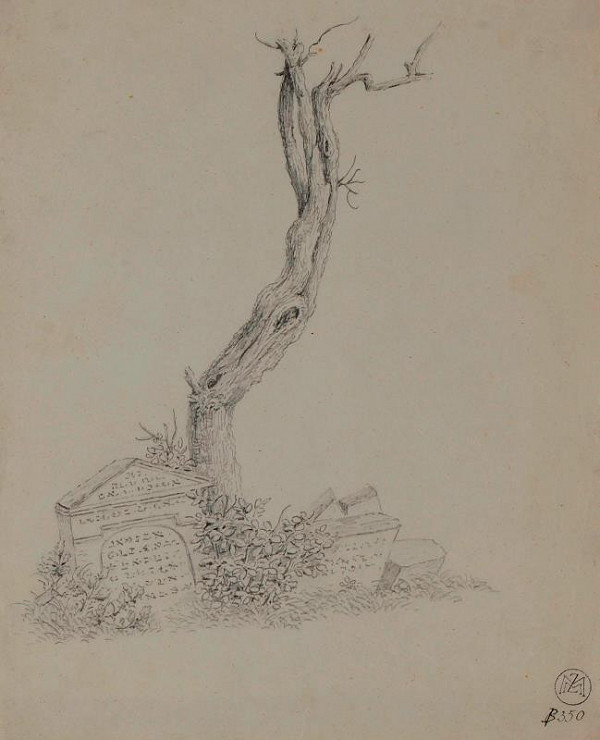 Mořic (Mauritz) Vilém Trapp – Studie stromu
