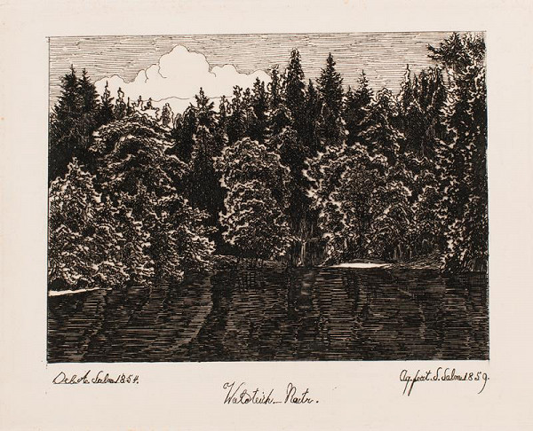 Siegfried Salm-Reifferscheidt – Lesní rybník v Rájci nad Svitavou