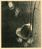 Jindřich Štyrský – Židovský hřbitov II. 