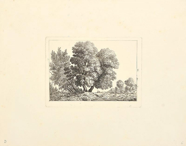 Bedřich Silva Tarouca – stromy