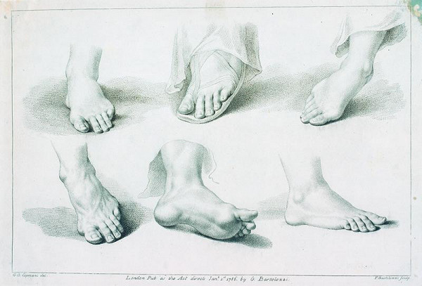 Giovanni Battista (Giuseppe ) Cipriani – Studie nohy 