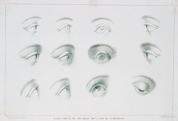 Giovanni Battista (Giuseppe ) Cipriani – Studie oka 