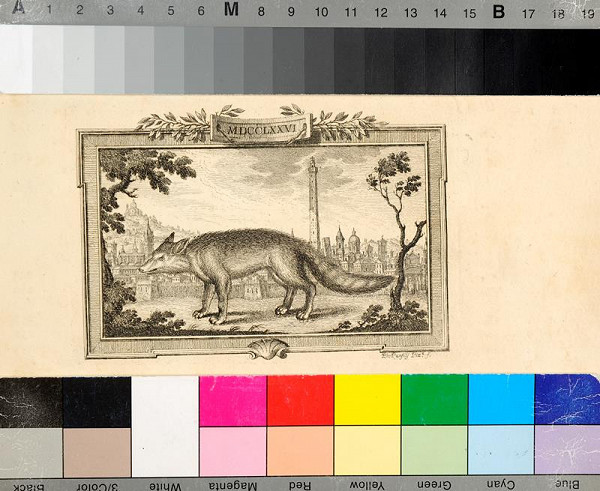 Leon Battista Alberti, Cosimo Bartoli – Della architettura della pittura e della statua di Leonbatista Alberti 