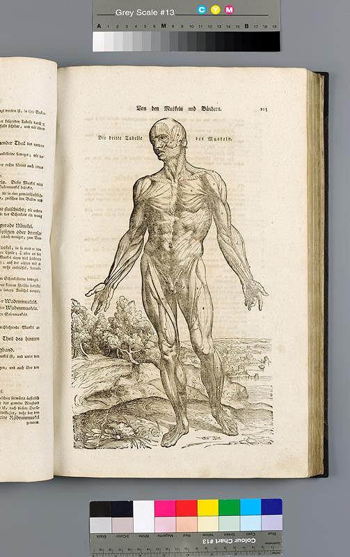 Heinrich Palmaz Leveling, Andreas Veselius, Anton Attenkhouer – Anatomische Erklärung der Original-Figuren von Andreas Vesal 