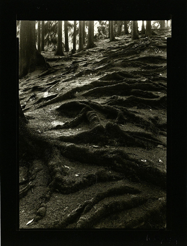 Petr Helbich – Bez názvu 