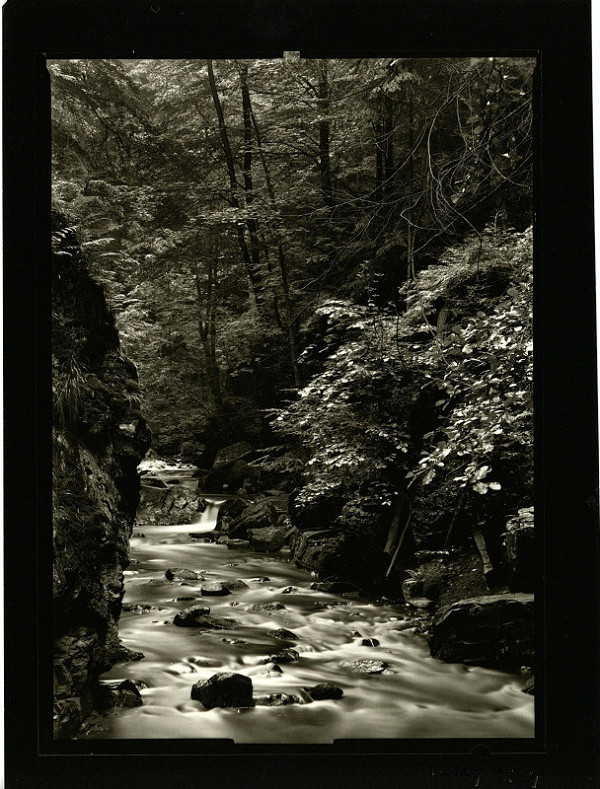 Petr Helbich – Bez názvu 