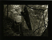 Petr Helbich – Bez názvu 