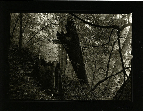 Petr Helbich – Bez názvu