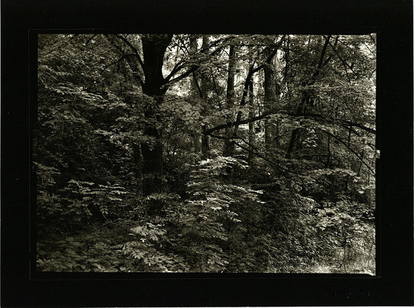 Petr Helbich – Bez názvu 