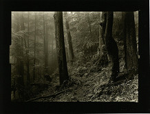 Petr Helbich – bez názvu 