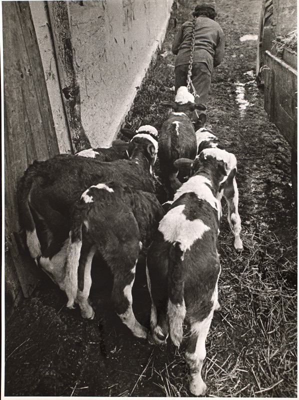 Jindřich Štreit – Sovinec 