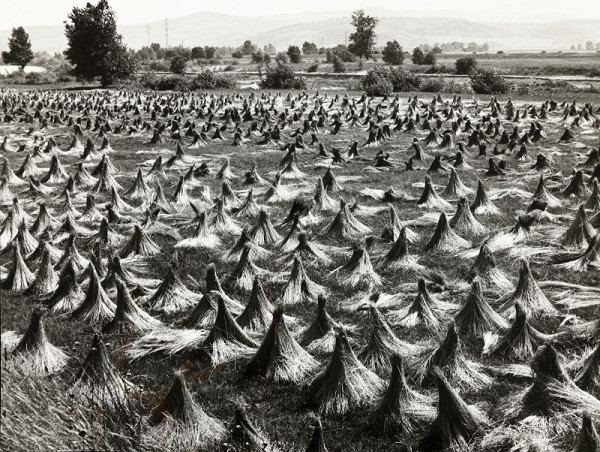 František Přeučil – Len u Váhu 