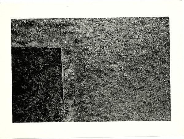 Jan Rauner – bez názvu 