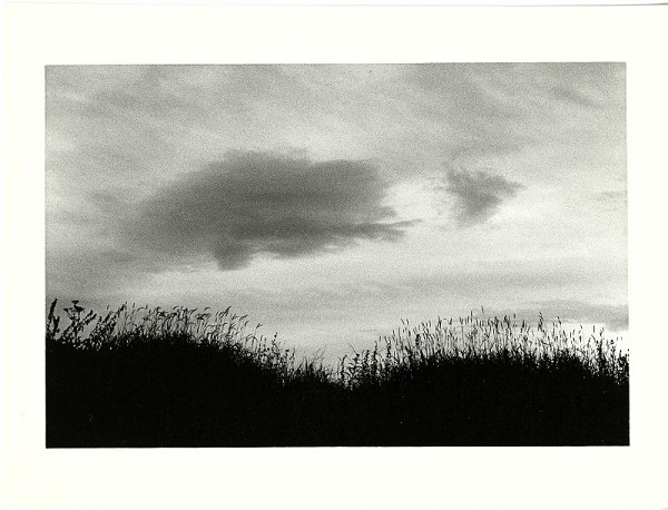 Jan Rauner – bez názvu 