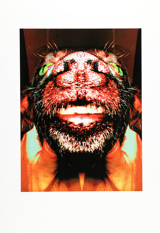 Pavol Orvan – Spiaca Markétka 