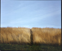 Dušan Slivka – bez názvu (krajina) 