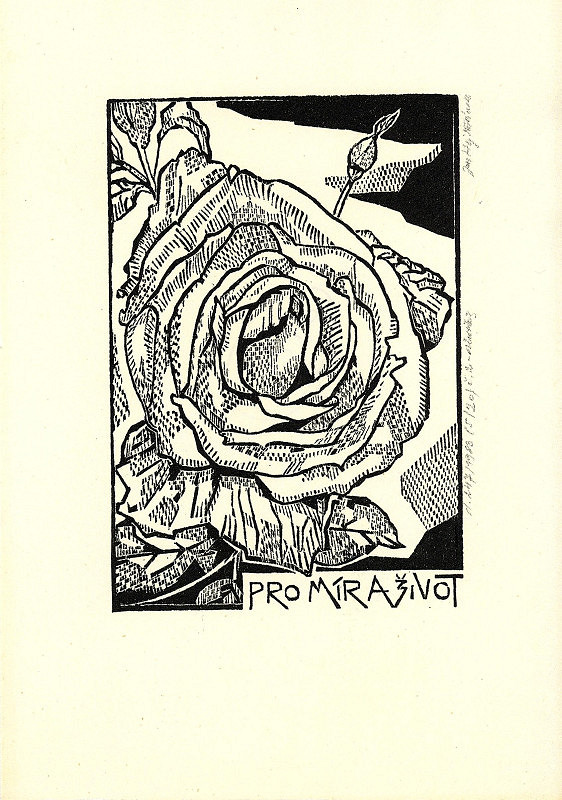 Jan Hejtmánek – Pro mír a život 