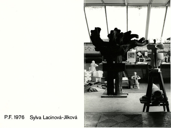 Sylva Lacinová – bez názvu 