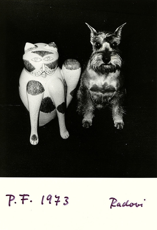 rodina Radových – bez názvu 