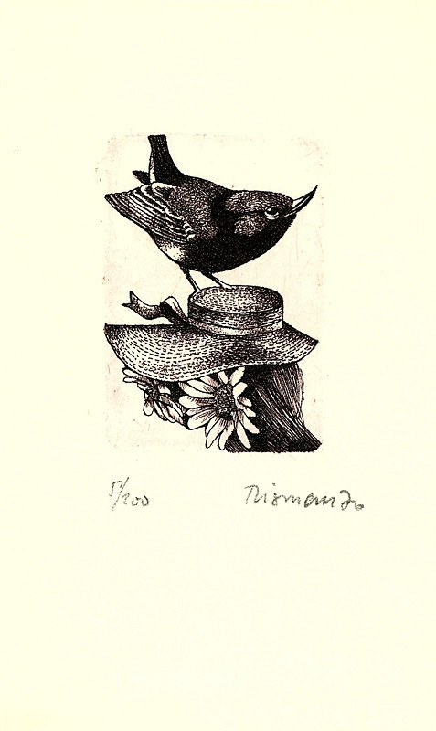 neznámý – bez názvu 