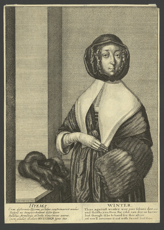 Václav Hollar – Zima 