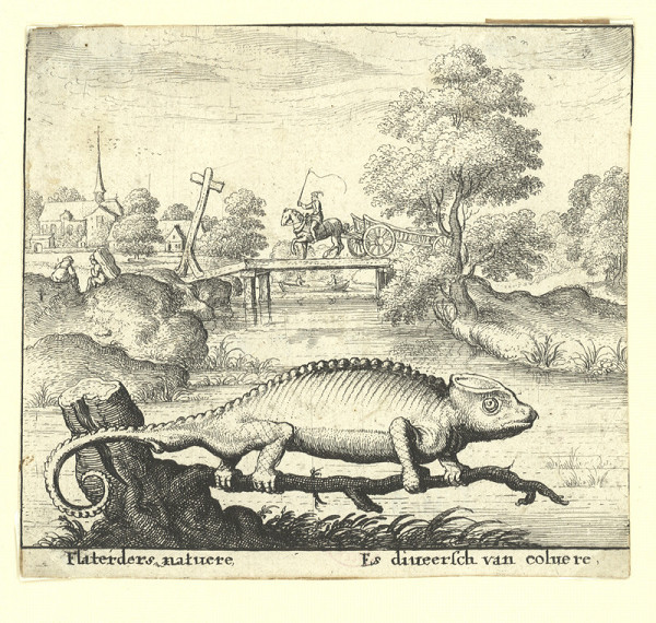 Václav Hollar – Chameleon, bajka s holandskými verši