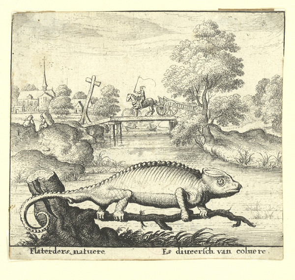 Václav Hollar – Chameleon, bajka s holandskými verši 