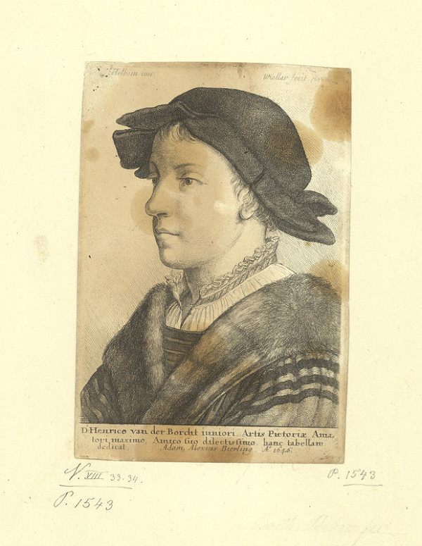 Václav Hollar – Portrét mladíka, podle Hanse Holbeina