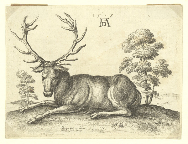 Václav Hollar – Ležící jelen, podle Albrechta Dürera