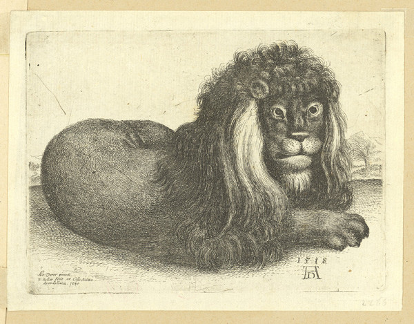 Václav Hollar – Ležící lev, podle Albrechta Dürera