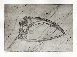 Karolína Krmelová – Exl KK 