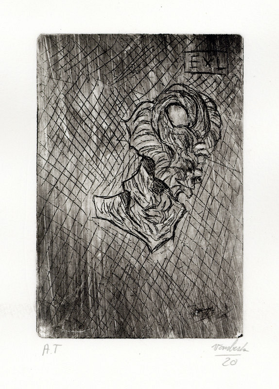 Anna Vamberská – Exl