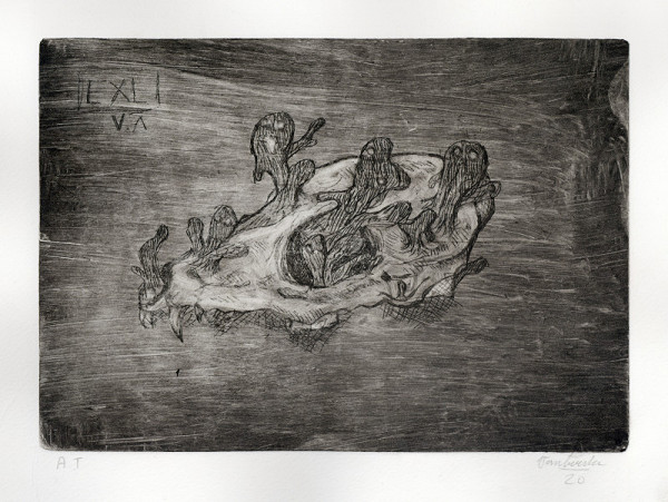 Anna Vamberská – Exl VA 