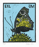 Jan Melena – Exl JM, Motýl 