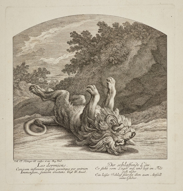 Johann Elias Ridinger – Spící lev