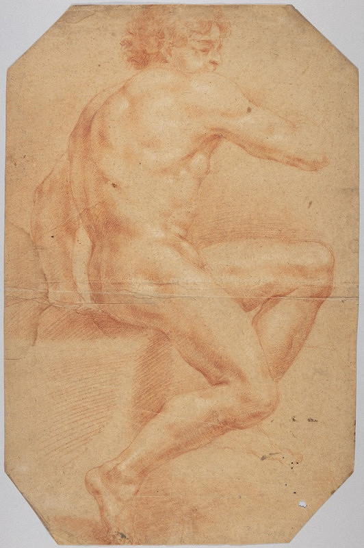 Neznámý autor – Studie mužského aktu 